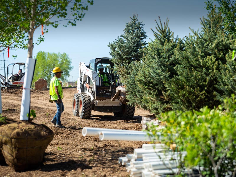 commercial landscaping