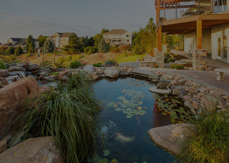 Professional Landscaping Services In, Landscaping Fort Collins