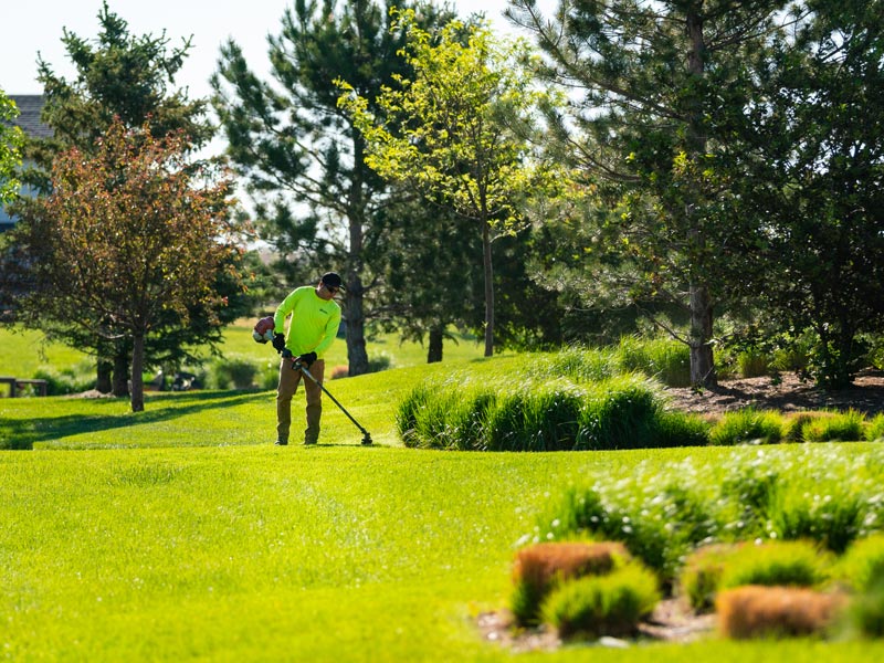 man with weed wacker