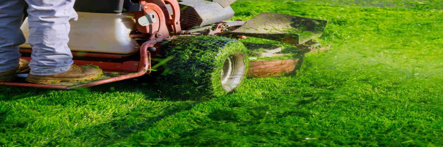 Landscape Maintenance Services