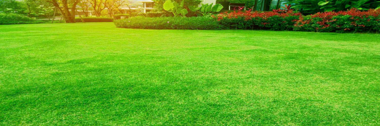 Landscaping Company